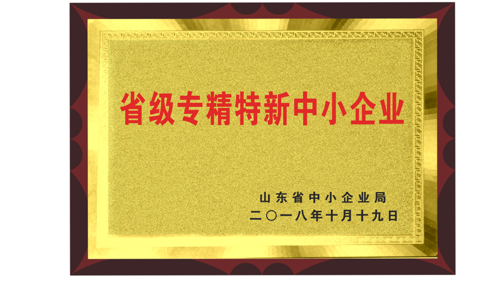 省级专精特新中小企业